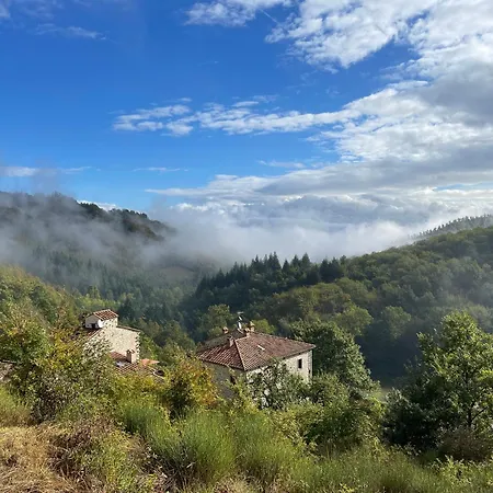 Bio Agriturismo Il Vigno Caprese Michelangelo Exterior foto