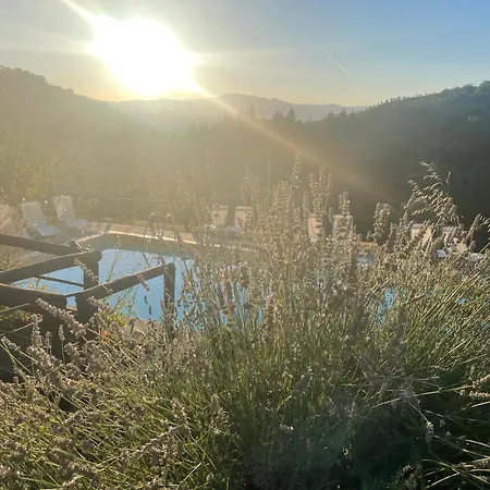 Bio Agriturismo Il Vigno Caprese Michelangelo Exterior foto