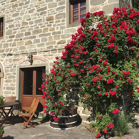 Bio Agriturismo Il Vigno Caprese Michelangelo Exterior foto