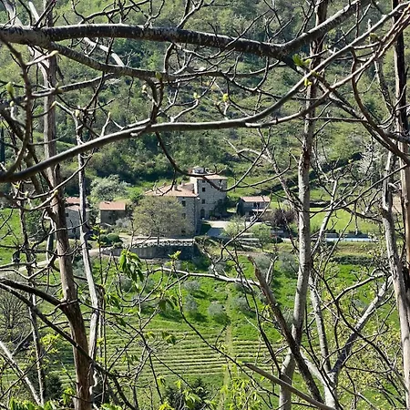 Bio Agriturismo Il Vigno Caprese Michelangelo Exterior foto