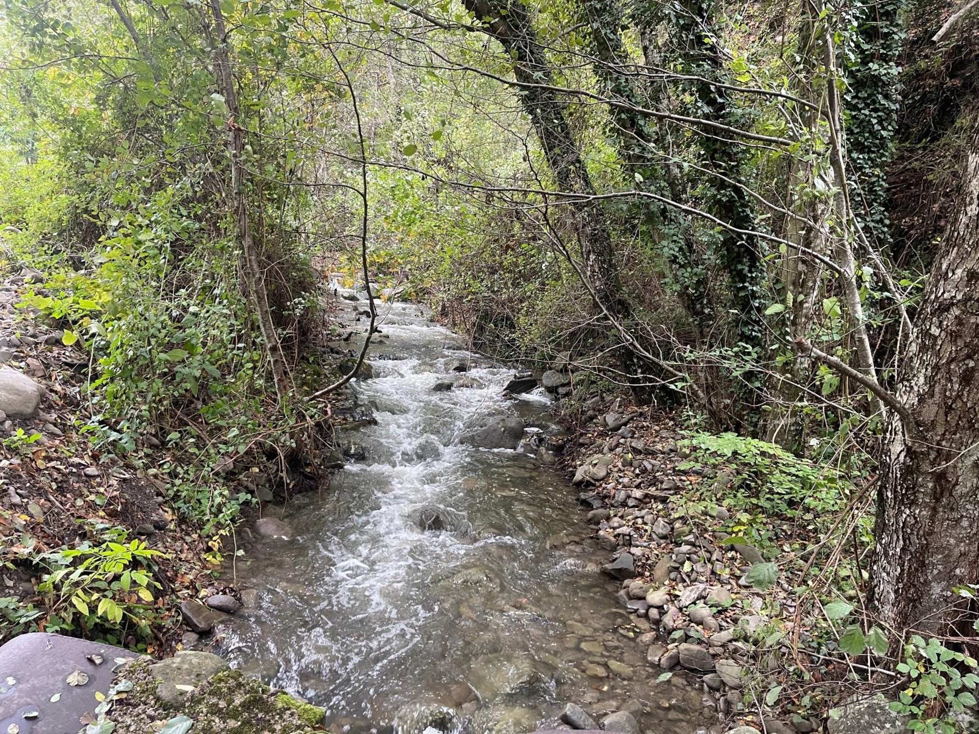 Bio Il Vigno *