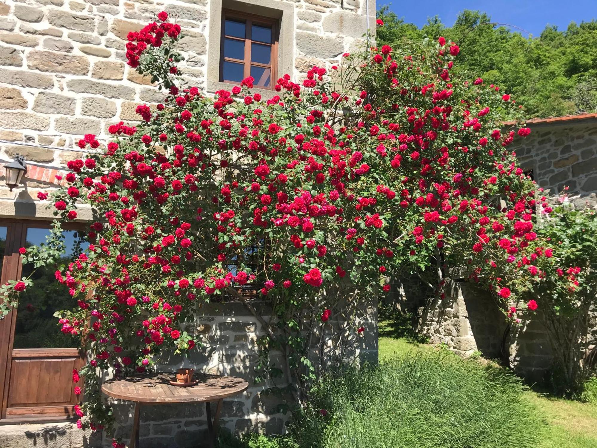 Country house Bio Il Vigno