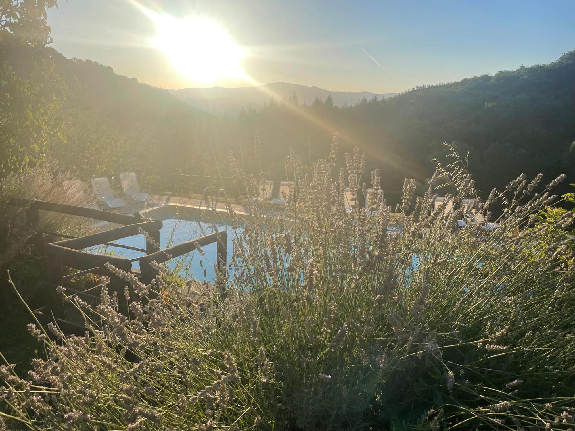 Country house Bio Il Vigno *
