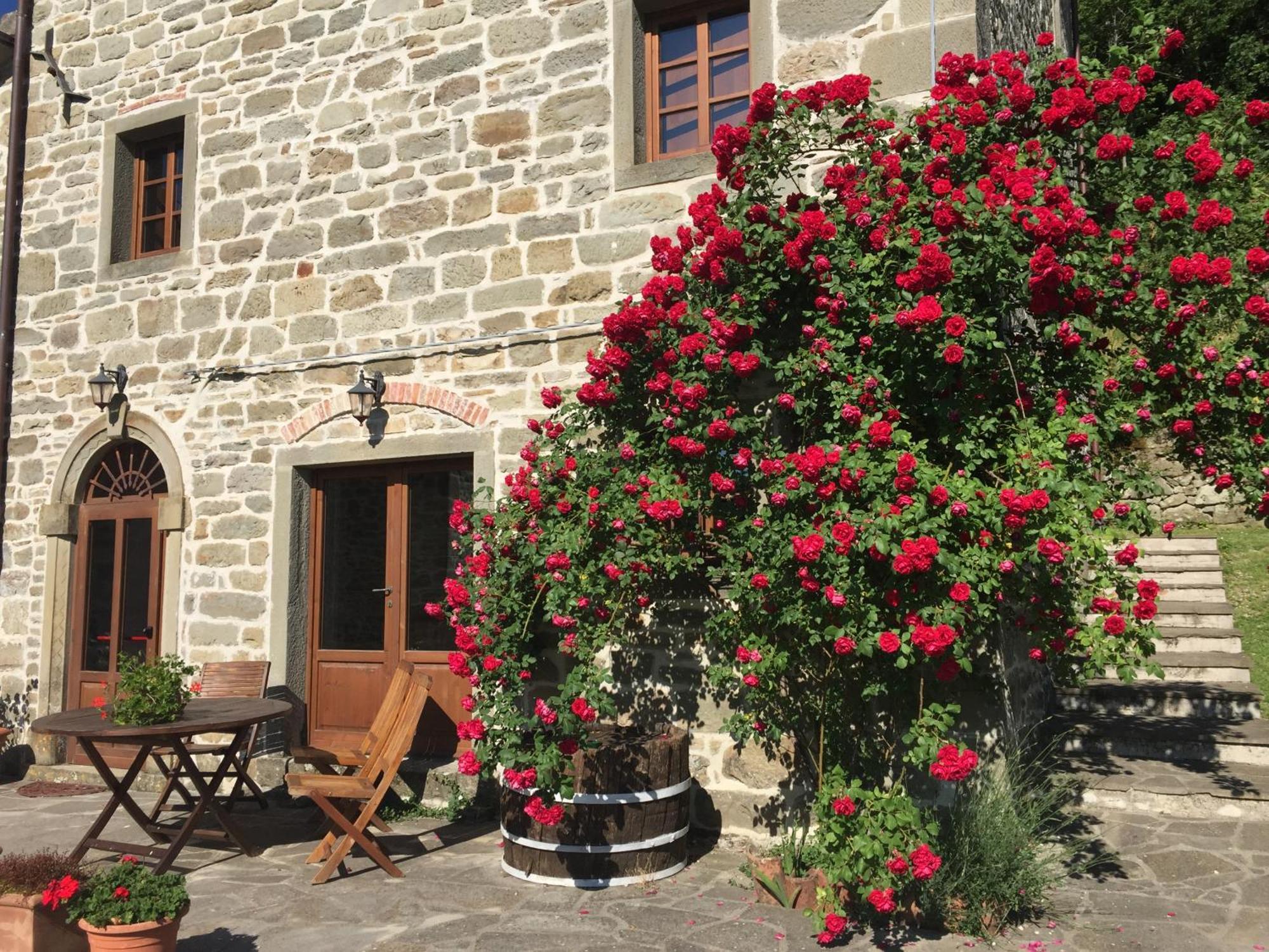 Country house Bio Il Vigno