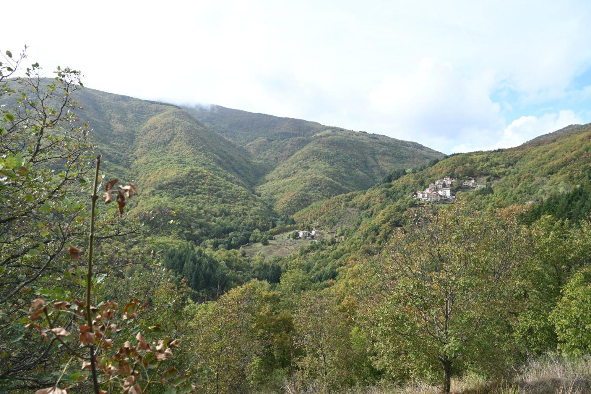 Bio Il Vigno