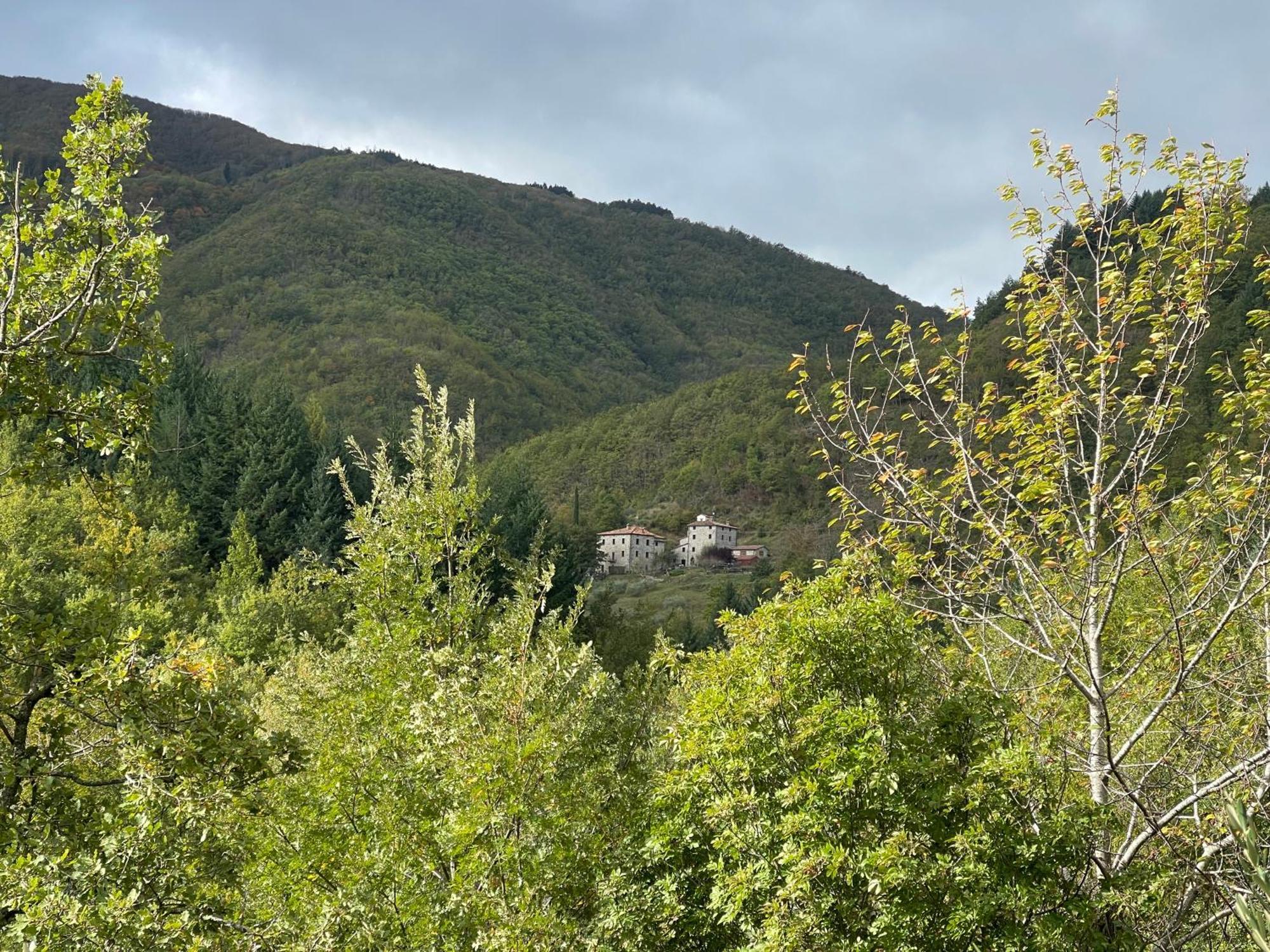 Bio Il Vigno Country house *