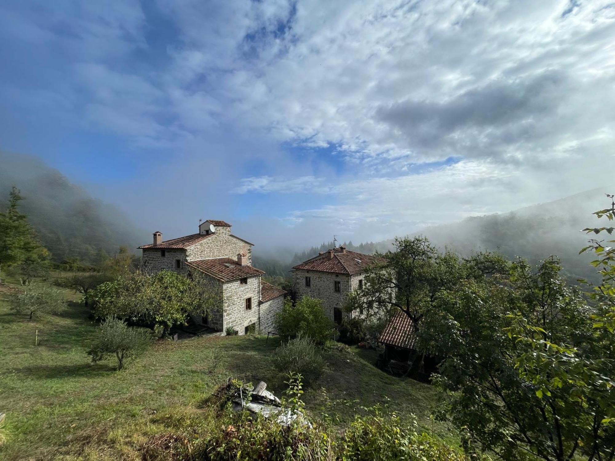 Bio Il Vigno * Caprese Michelangelo