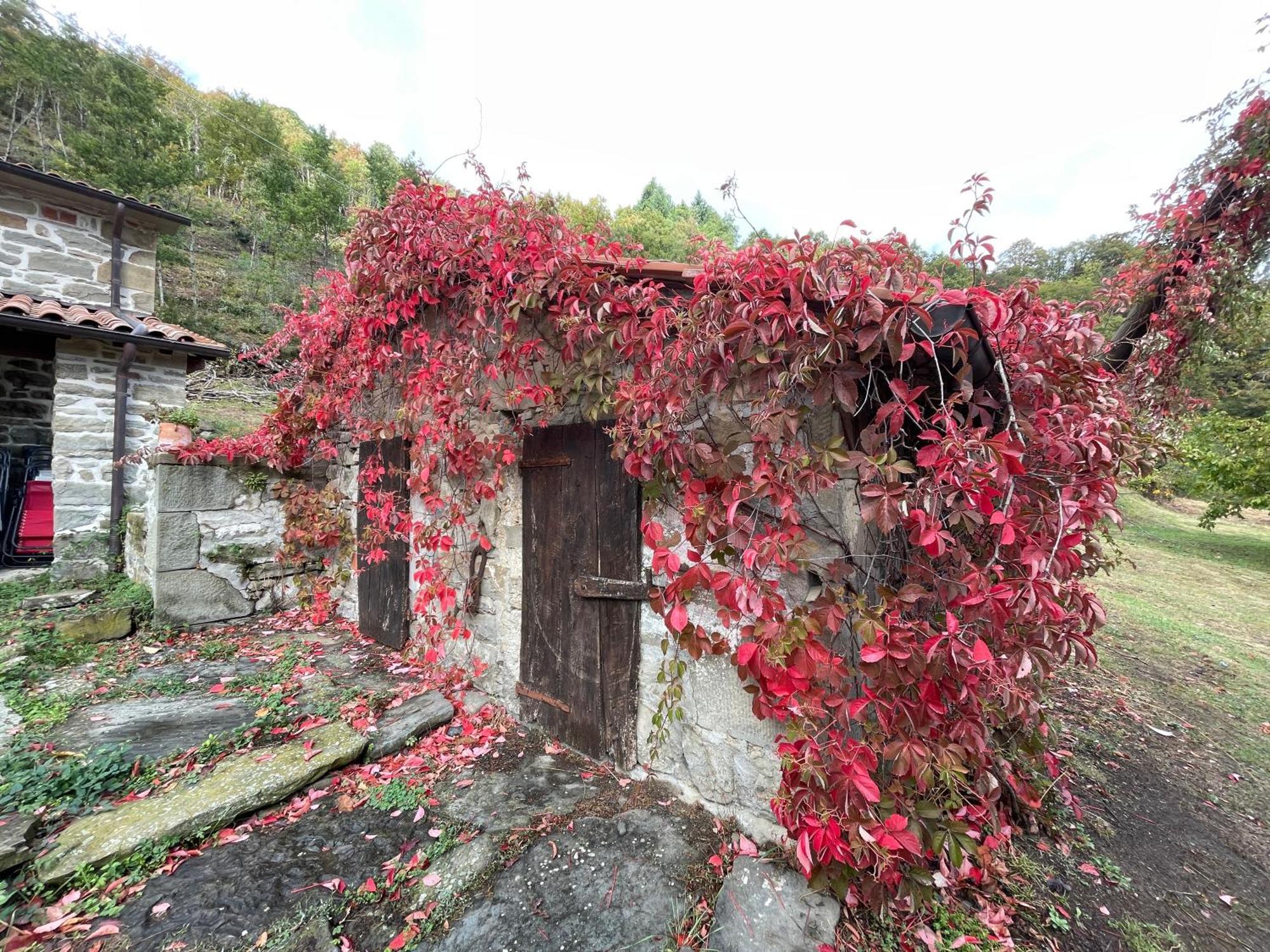 Bio Il Vigno Caprese Michelangelo